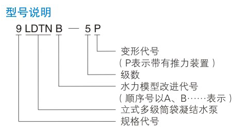 LDTN型凝草莓视频网站入口